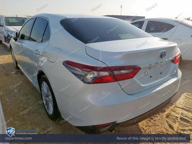 Auction photo