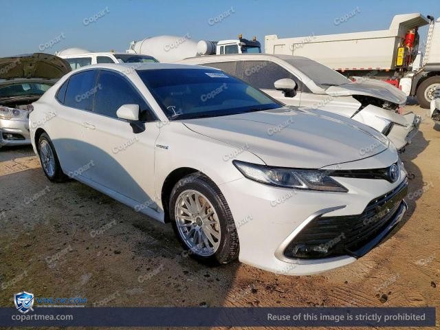 Auction photo