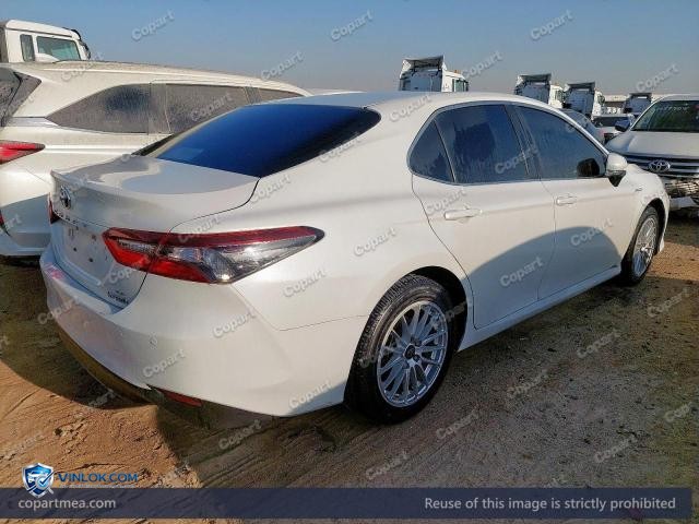 Auction photo