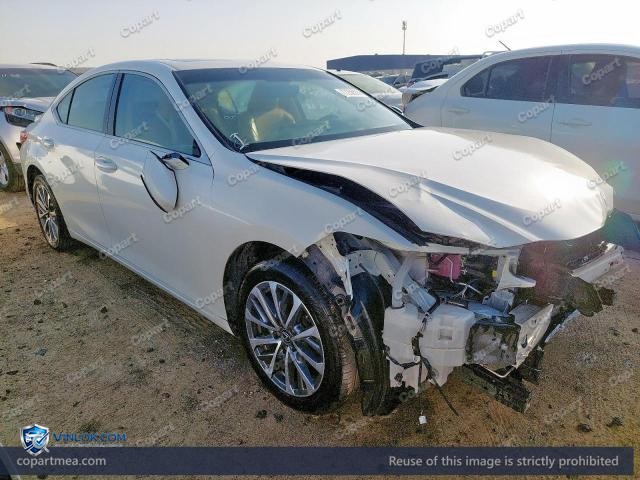 Auction photo