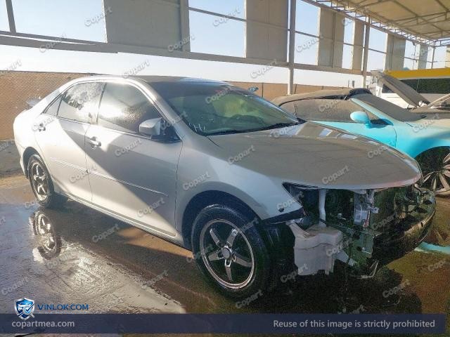 Auction photo