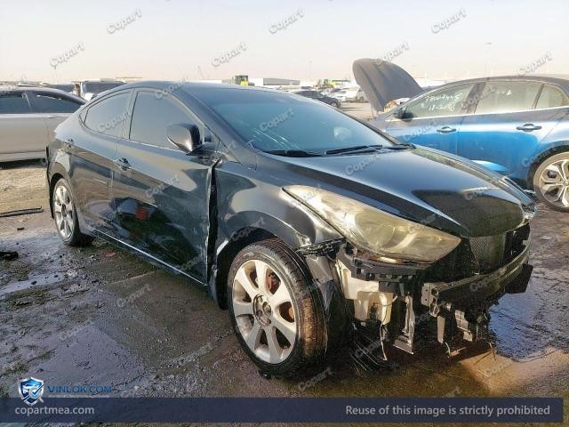 Auction photo