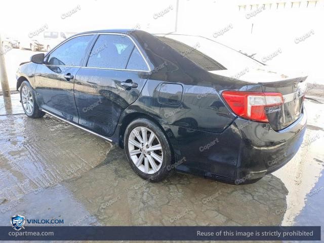 Auction photo