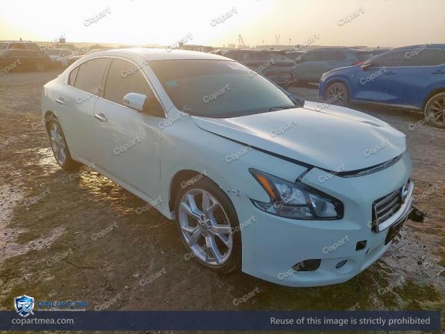 Auction photo