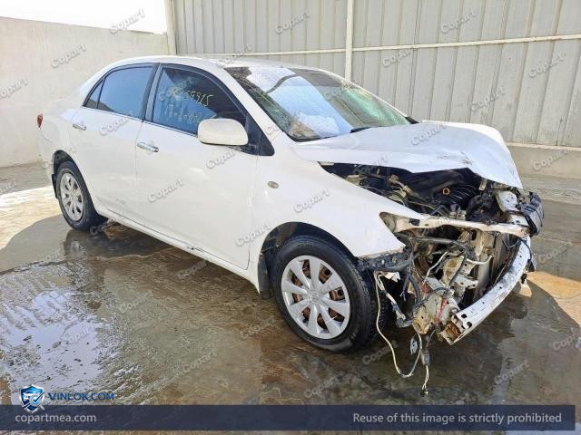 Auction photo