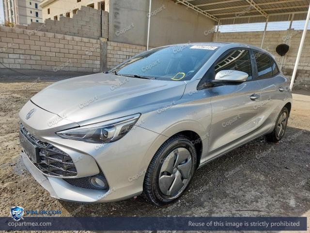 Auction photo