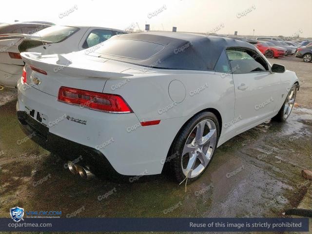 Auction photo