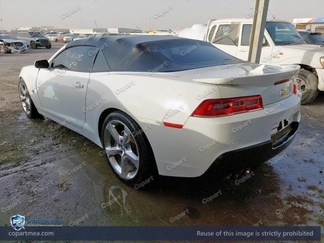 Auction photo