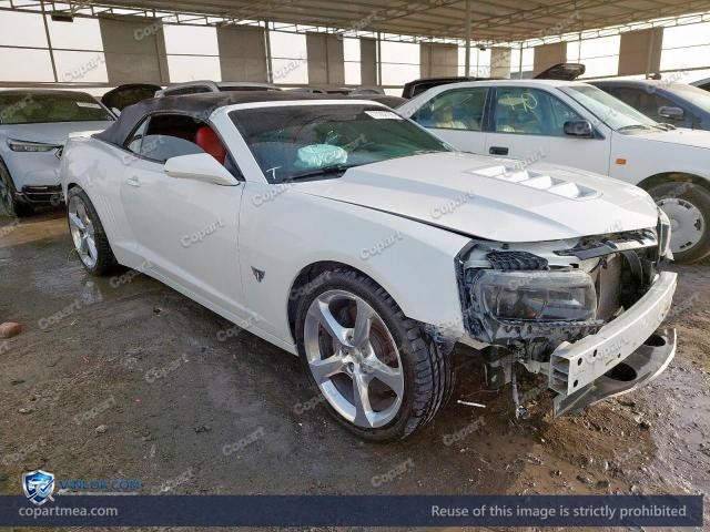 Auction photo