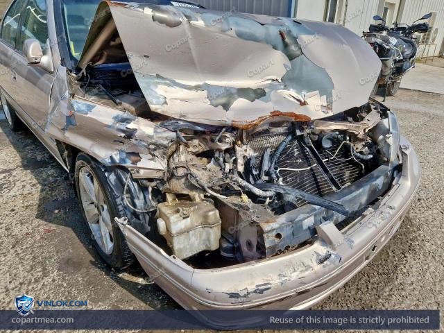 Auction photo