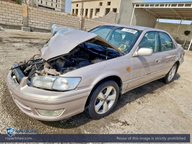 Auction photo