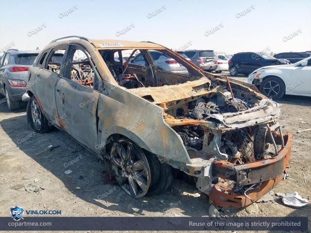 Auction photo