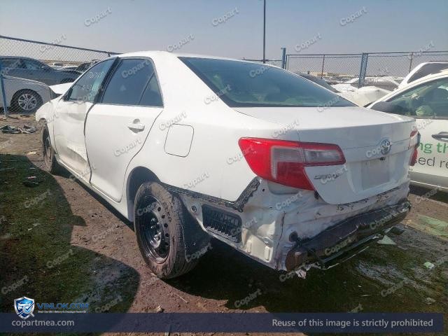 Auction photo