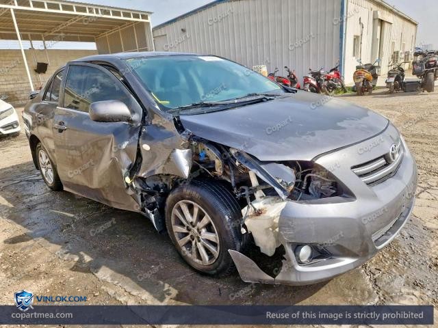 Auction photo