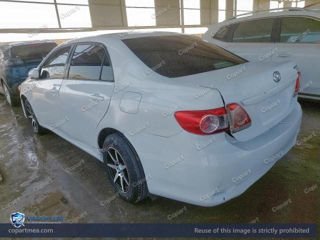 Auction photo