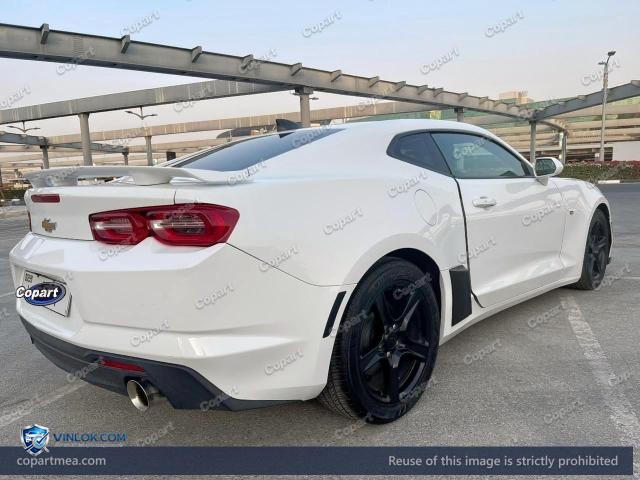 Auction photo