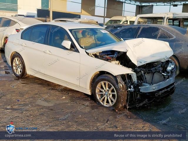 2016 BMW 318 — Lot 77441925 auction photo