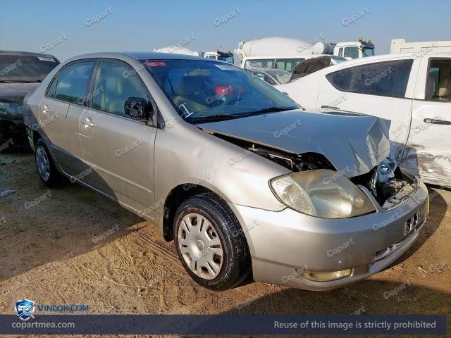 Auction photo