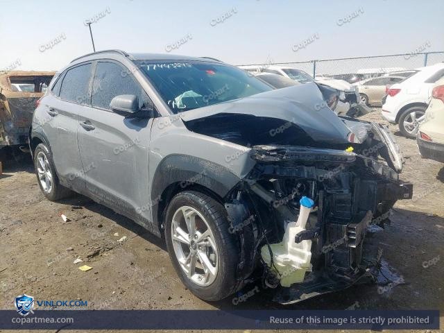 Auction photo