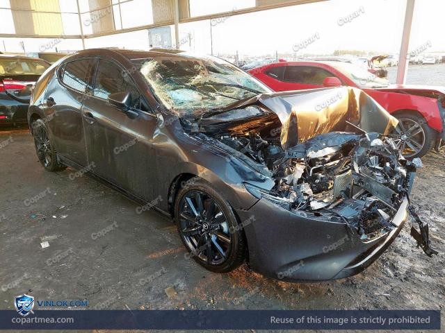 Auction photo
