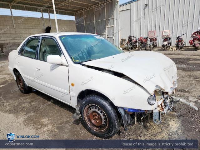 Auction photo
