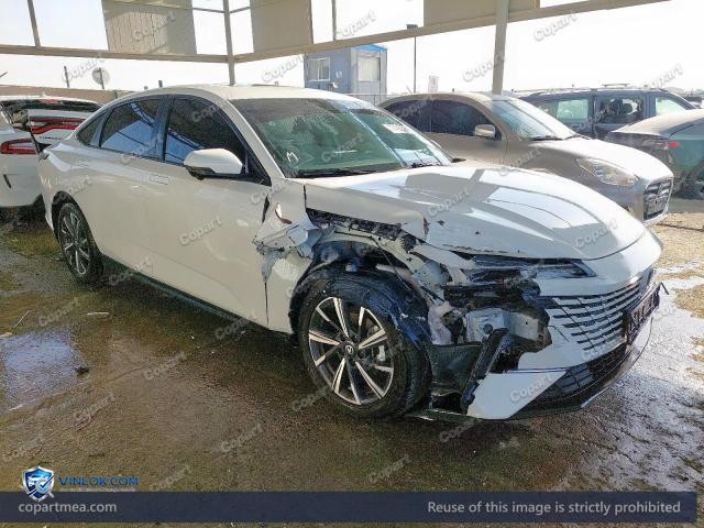 2025 CHAN EADO PLUS — Lot 77455275 auction photo