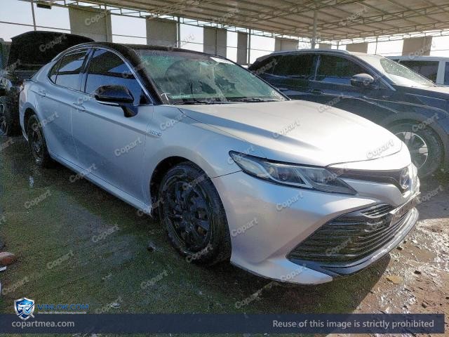 Auction photo