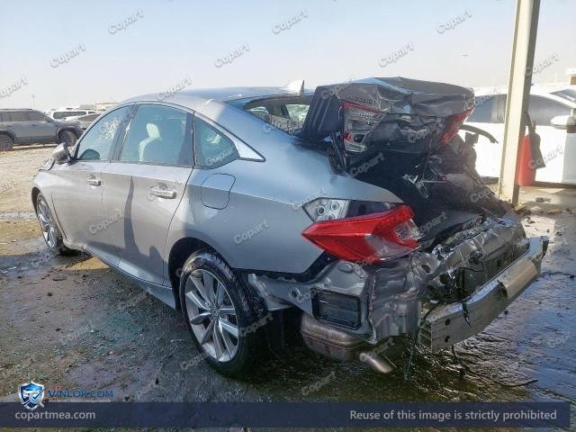 Auction photo