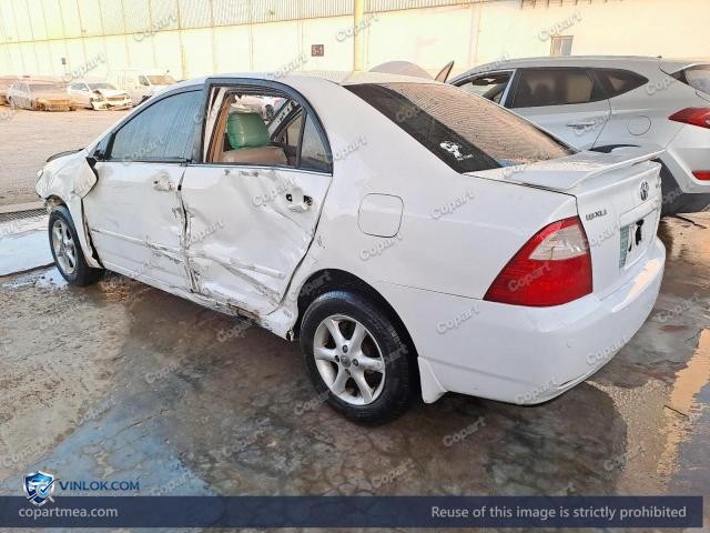 Auction photo