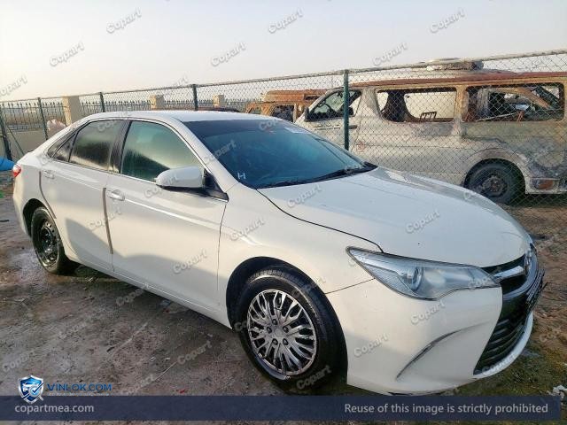 Auction photo