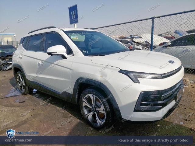 2023 JAC JS4 — Lot 77632605 auction photo