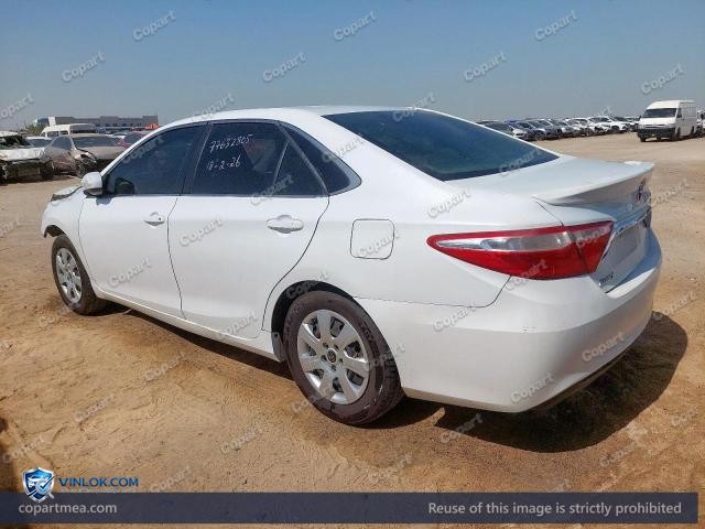 Auction photo