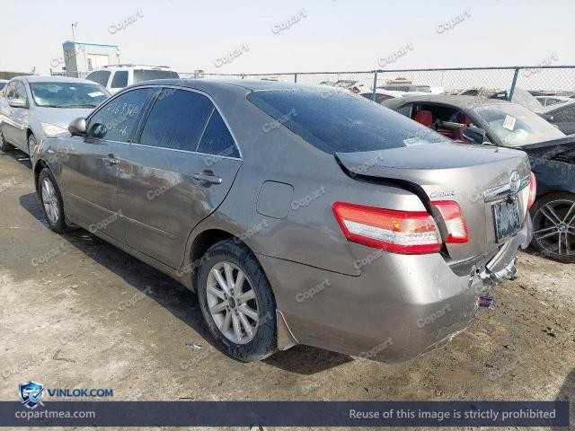 Auction photo