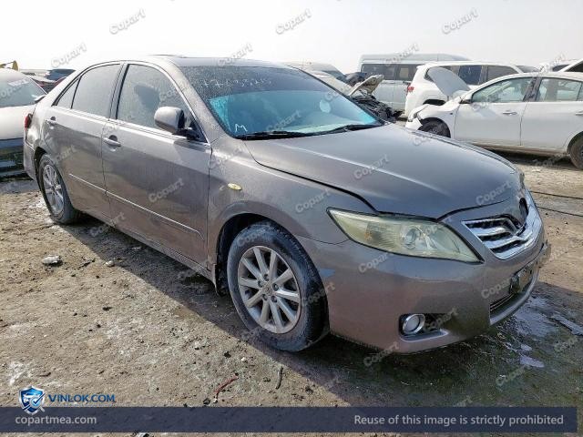 Auction photo