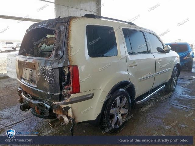 Auction photo
