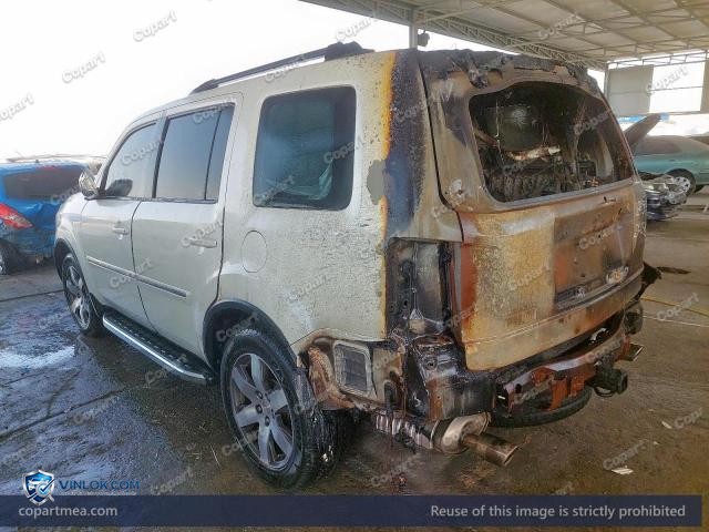 Auction photo
