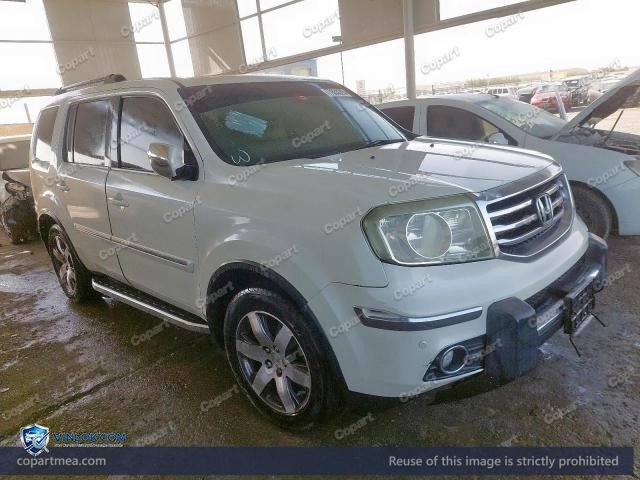 Auction photo