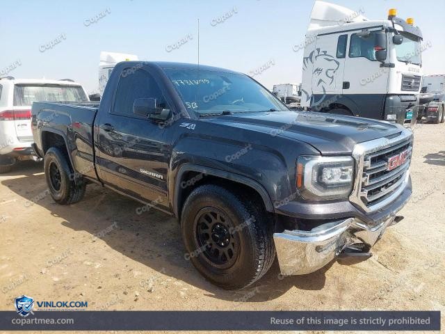 Auction photo