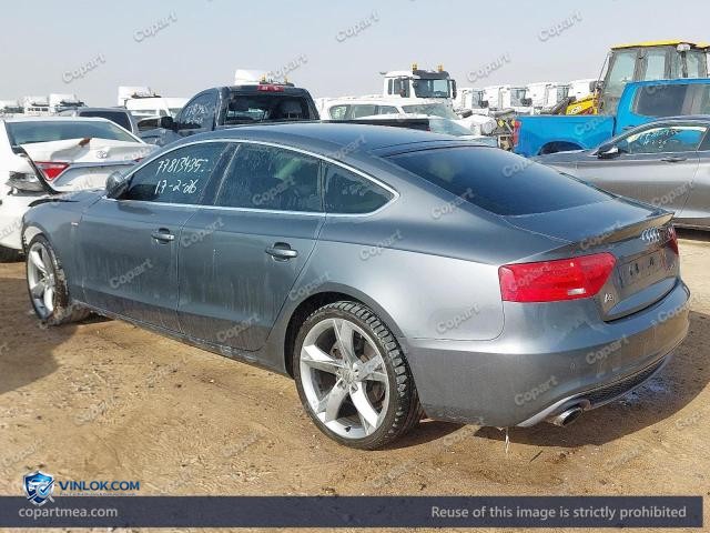 Auction photo