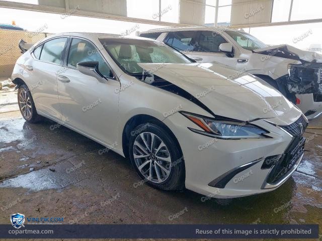 Auction photo