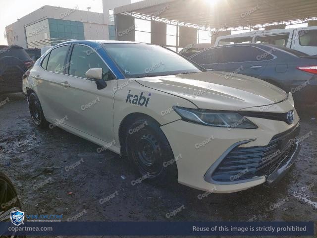 Auction photo