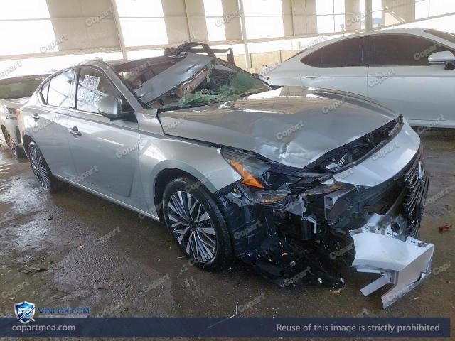 Auction photo