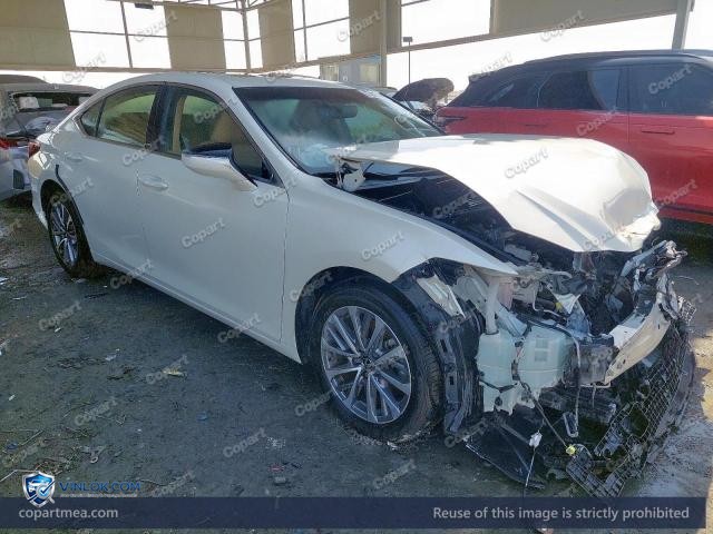 Auction photo