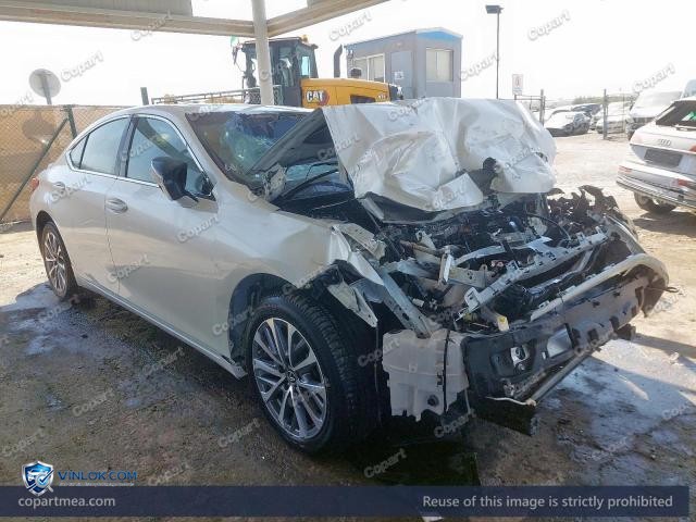 Auction photo