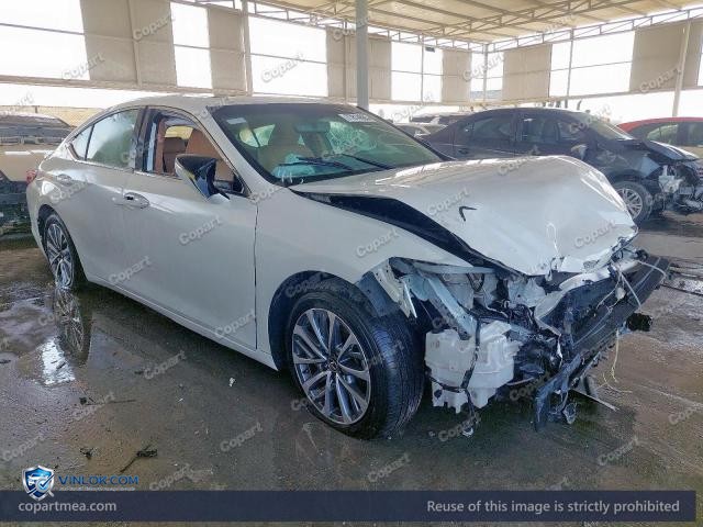 Auction photo