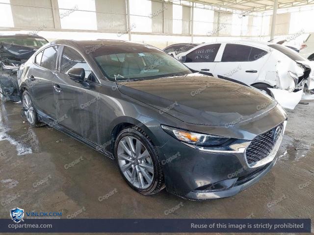 Auction photo
