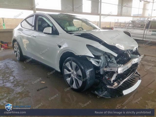 Auction photo