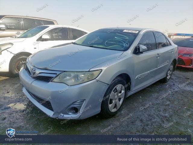 Auction photo