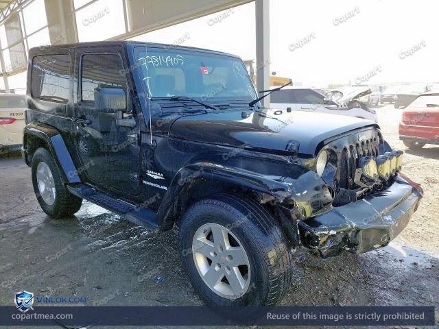 Auction photo
