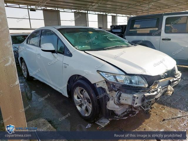 Auction photo